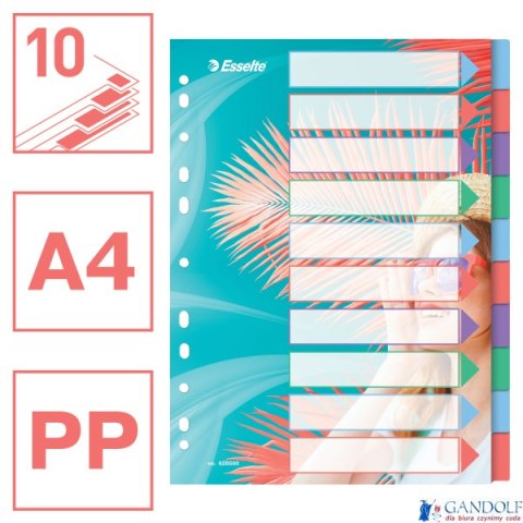 Przekładki Colour Breeze PP A4, 10 przekładek Esselte 628500 Przekładki Colour Breeze PP A4, 10 przekładek Esselte 628500