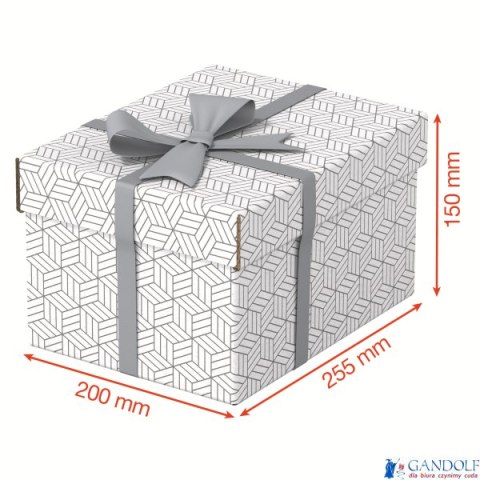 Pudełka domowe do przechowywania, rozmiar S, 3 sztuki, białe Esselte 628280