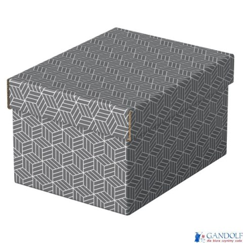 Pudełka domowe do przechowywania, rozmiar S, 3 sztuki, szare Esselte 628281