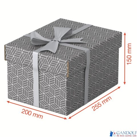 Pudełka domowe do przechowywania, rozmiar S, 3 sztuki, szare Esselte 628281