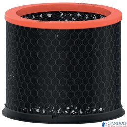 Wymienny węglowy filtr dla właścicieli zwierząt Leitz TruSens Z-2000 2415130