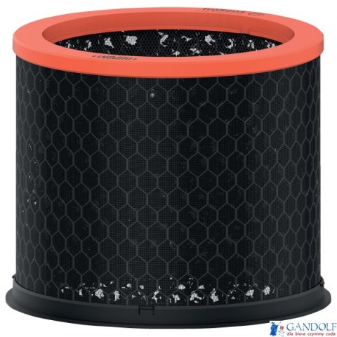 Wymienny węglowy filtr dla właścicieli zwierząt Leitz TruSens Z-2000 2415130