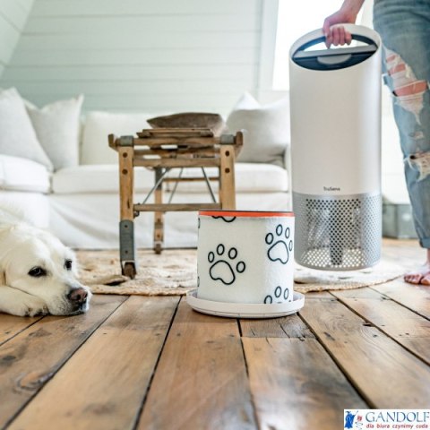 Wymienny węglowy filtr dla właścicieli zwierząt Leitz TruSens Z-2000 2415130