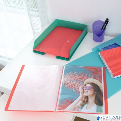 Album ofertowy Esselte Colour Breeze, z 60 koszulkami, niebieski 626232 Esselte Album ofertowy Esselte Colour Breeze, z 60 koszulkami, niebieski 626232 Esselte