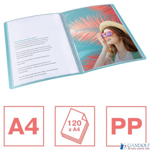 Album ofertowy Esselte Colour Breeze, z 60 koszulkami, niebieski 626232 Esselte Album ofertowy Esselte Colour Breeze, z 60 koszulkami, niebieski 626232 Esselte