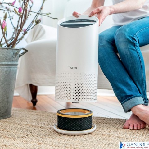 Filtr zapachów HEPA (3 w 1) Leitz TruSens Z-1000 2415121