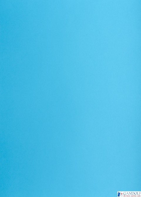 Karton kolorowy Creatinio A1 160g 25ark nr.77P jasnoniebieski 400149565 TOP-2000