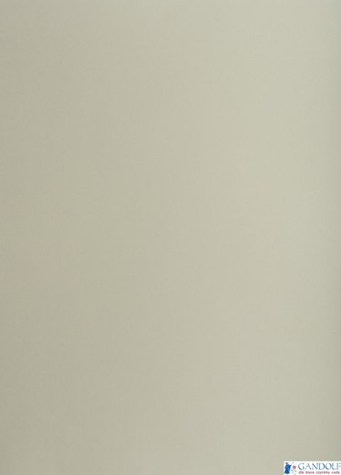 Karton kolorowy Creatinio A2 160g 25ark nr.94 szary 400150159 TOP-2000