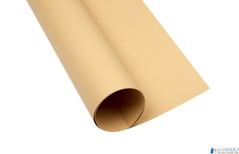 Karton kolorowy A3 160g 25ark jasnobrązowy 400150230 OXFORD