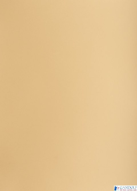 Karton kolorowy A3 160g 25ark jasnobrązowy 400150230 OXFORD