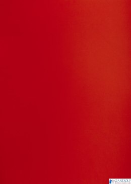 Karton kolorowy Oxford B1 225g 25ark nr.29 c.czerwony 400150263 TOP-2000