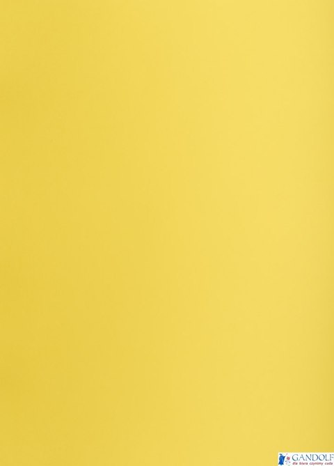 Karton kolorowy Creatinio B1 225g 25ark nr.55B jasnożółty 400150264 TOP-2000