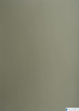 Karton kolorowy Oxford B1 225g 25ark nr.98 c.szary 400150255 TOP-2000