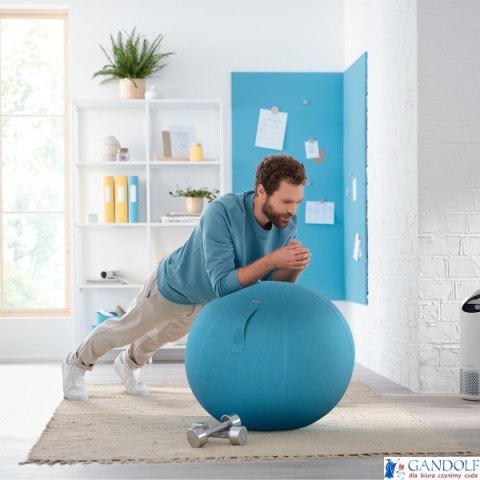 Piłka do siedzenia Leitz Ergo Cosy, niebieska 52790061