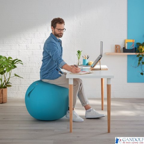 Piłka do siedzenia Leitz Ergo Cosy, niebieska 52790061