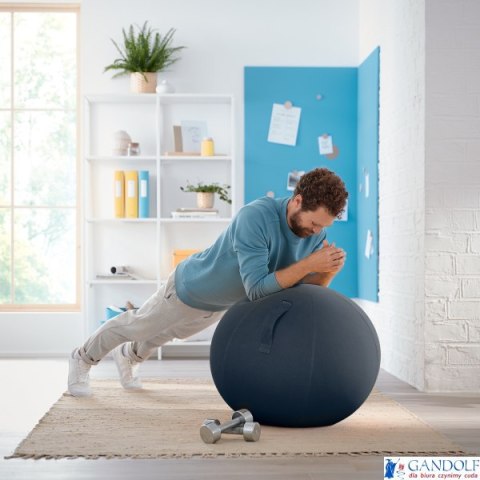 Piłka do siedzenia Leitz Ergo Cosy, szara 52790089