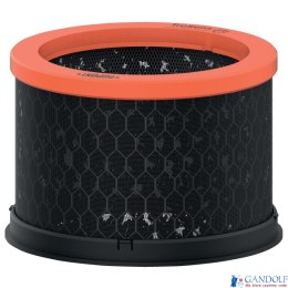 Wymienny węglowy filtr dla właścicieli zwierząt Leitz TruSens Z-1000 2415128
