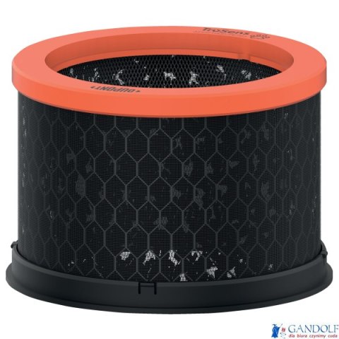 Wymienny węglowy filtr dla właścicieli zwierząt Leitz TruSens Z-1000 2415128