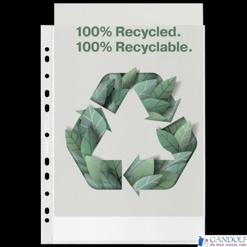 Koszulka groszkowa Recycled Premium PP 100 mic. A4, w kartonie, 627501 op.50 szt. Esselte Koszulka groszkowa Recycled Premium PP 100 mic. A4, w kartonie, 627501 op.50 szt. Esselte