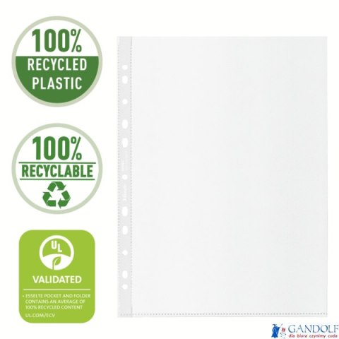Koszulka groszkowa Recycled Premium PP 100 mic. A4, w kartonie, 627501 op.50 szt. Esselte Koszulka groszkowa Recycled Premium PP 100 mic. A4, w kartonie, 627501 op.50 szt. Esselte