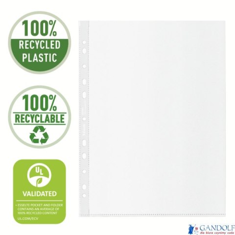 Koszulka groszkowa Recycled Premium PP 70 mic. A4, 627493, w kartonie, op.100 szt. Koszulka groszkowa Recycled Premium PP 70 mic. A4, 627493, w kartonie, op.100 szt.