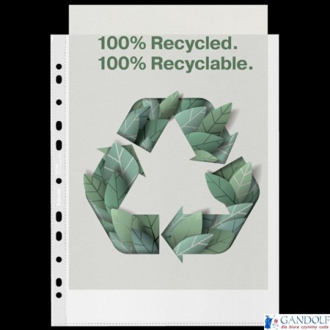 Koszulka groszkowa Recycled Premium PP 70 mic. A4 Maxi, w kartonie, 627502 op.50 szt. Esselte Koszulka groszkowa Recycled Premium PP 70 mic. A4 Maxi, w kartonie, 627502 op.50 szt. Esselte