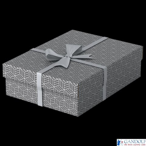 Pudełka domowe do przechowywania, płaskie, rozmiar M, 3 sztuki, szare Esselte 628285