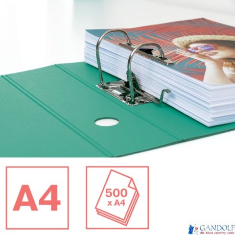 Segregator Esselte ColourBreeze, z polyfoamu A4, 82 mm, zielony 626218