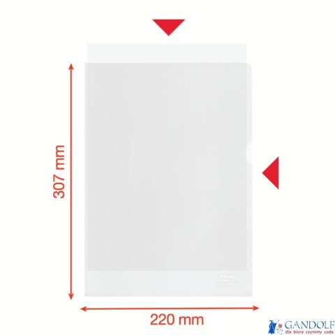 Folder groszkowy Recycled Premium PP 100 mic. A4, w kartonie, 627496 op.100 szt.