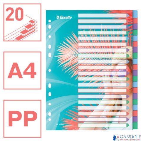Przekładki ColourBreeze PP A4, 20 przekładek Esselte 628502