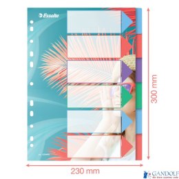 Przekładki ColourBreeze PP A4, 6 przekładek Esselte 628499