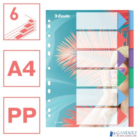 Przekładki ColourBreeze PP A4, 6 przekładek Esselte 628499