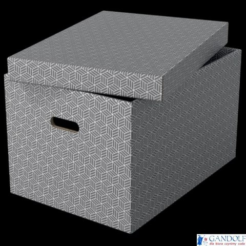 Pudełka domowe do przechowywania, rozmiar L, 3 sztuki, szare Esselte 628287