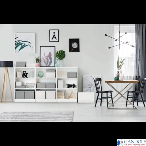 Pudełka domowe do przechowywania, rozmiar L, 3 sztuki, szare Esselte 628287